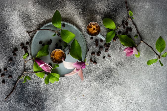 Top view of coffee and magnolia flowers