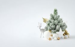 Christmas decoration on light background