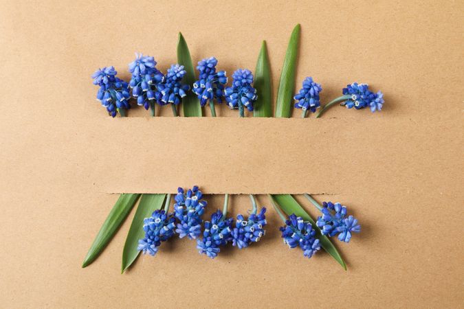 Beautiful hyacinths on craft background, space for text