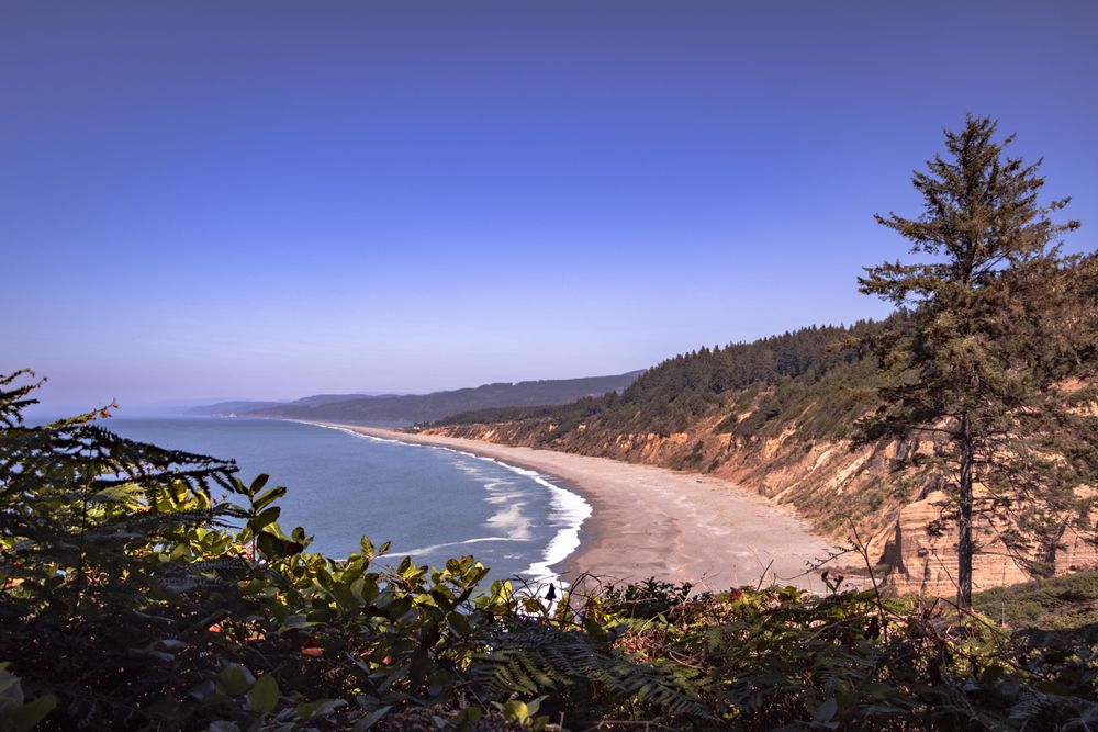 Overlooking quiet beach from a view above with foliage