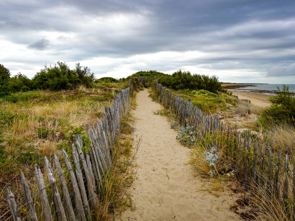 The coastal path at dawn, La Couarde sur Mer, France