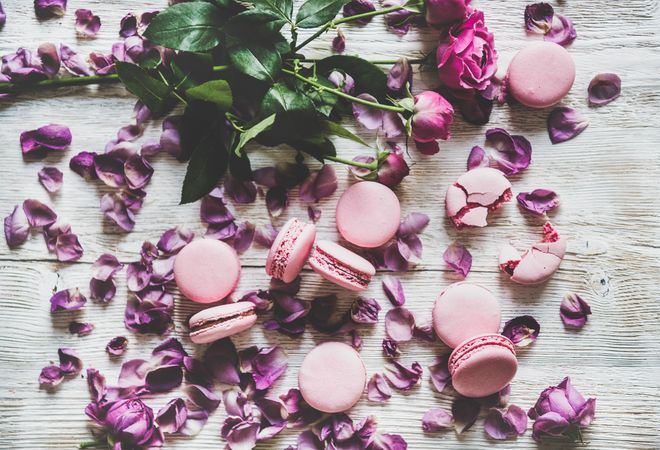 Flat-lay of sweet pink macaron cookies and fresh spring flowers