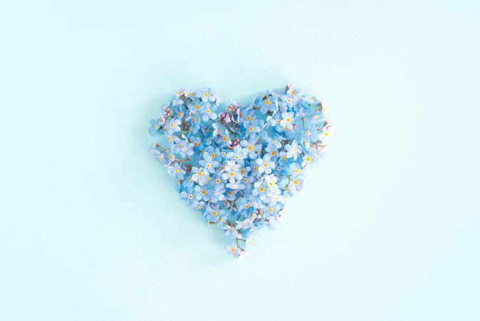 Forget me not flowers in a heart shape on blue background