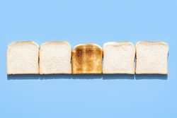 Slices of toast bread alligned in a row on a blue background