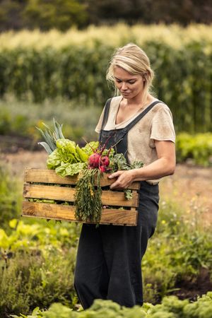 Self-sufficient farmer gathering fresh vegetables from her organic farm