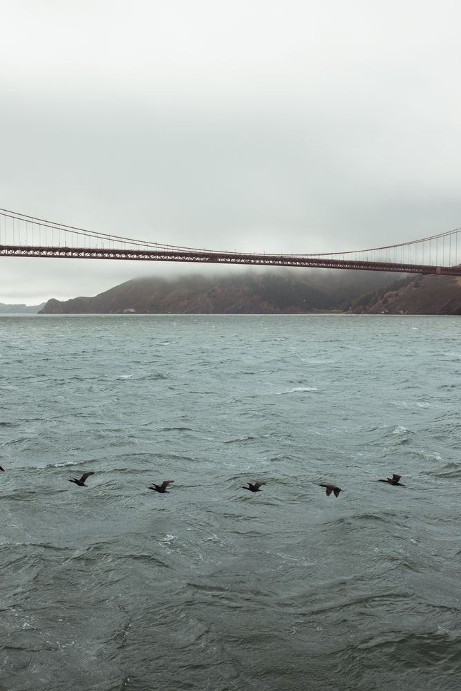Red bridge construction over wavy dark water