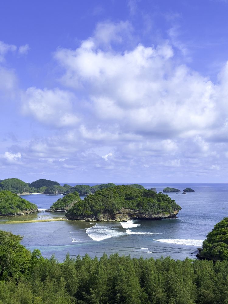 Beautiful Seascape Vertical View