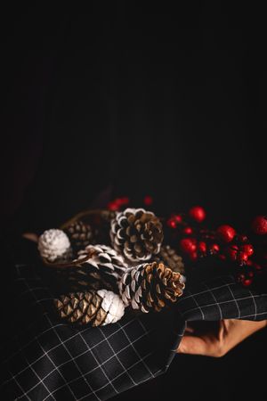 Painted conifer cones in bowl
