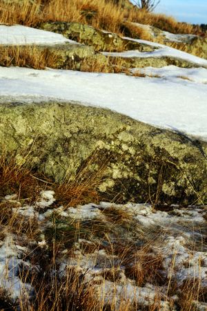 snow at countryside