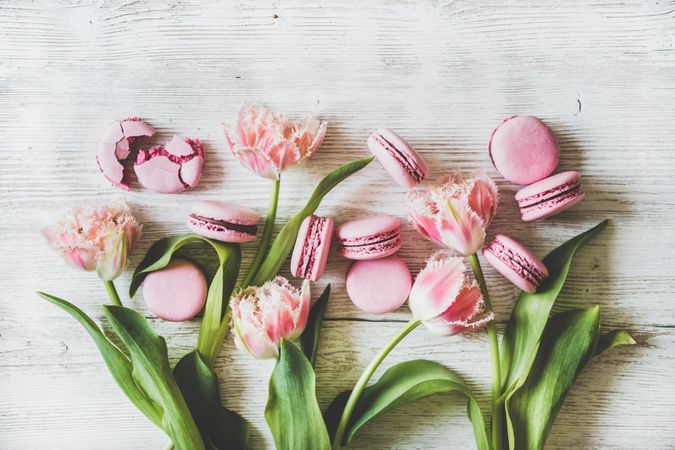 Flat-lay of sweet pink macaron cookies and fresh spring tulip, with copy space