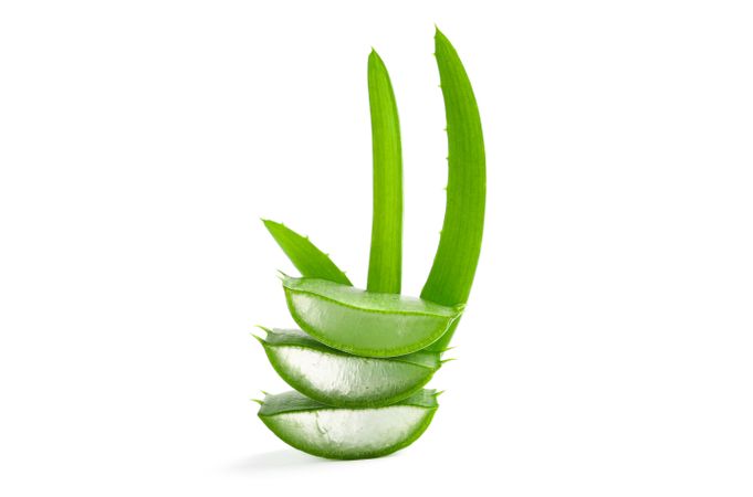 Aloe vera slices isolated on studio background. Herbal medicine
