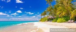 Beautiful tropical beach with palm trees and cabanas bEDEn4