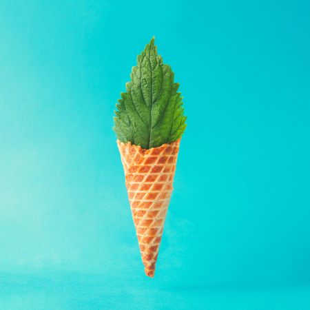Nettle leaf in waffle cone on blue background