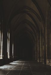 Amazing dark hall with high columns
