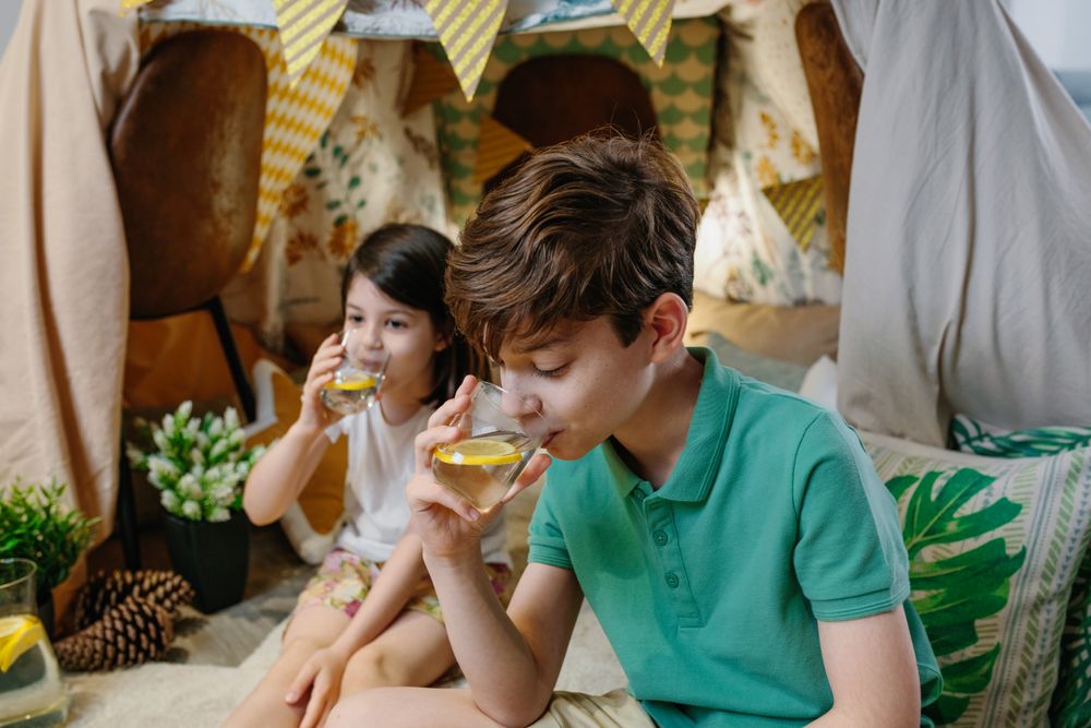 Boy drinking homemade lemonade with his sister