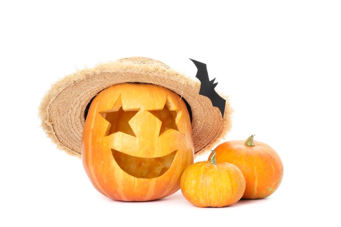 Halloween decorative pumpkins isolated on plain background