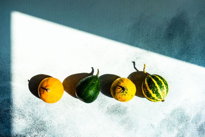 Top view of colorful mini squash on sunny counter