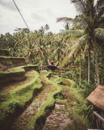 Man on swings above tropical plantation