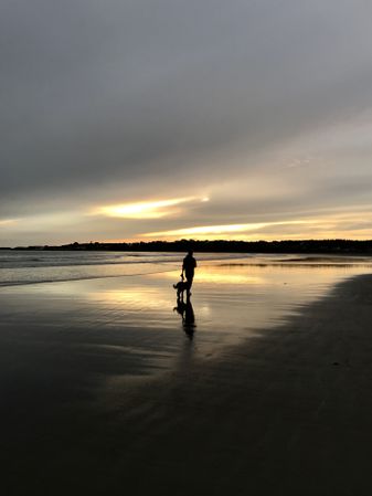 Silhouette of person and a dog walking on seashore during sunset
