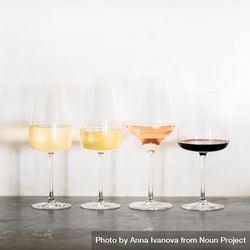 Wine flight of 4 types of wine, from light to dark, in different shaped glassware, square crop 4d3oE5