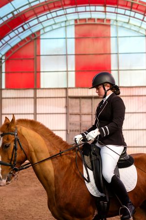 Equestrian riding chestnut horse indoors
