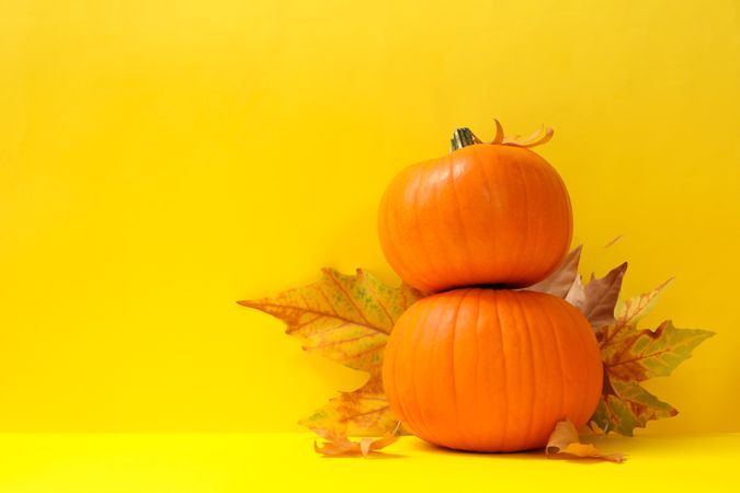 Pumpkins and autumn leaves on yellow background