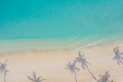 Aerial shot of palm tree shadows on a tropical beach