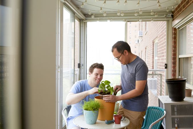 Two men repotting plants at home