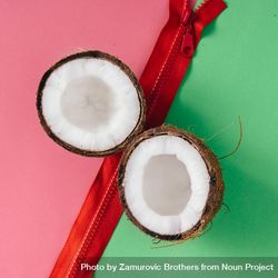 Coconut halves on pink and green background and red zipper 0vkjL5