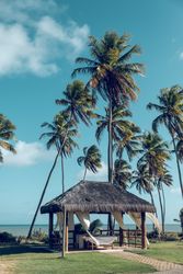 Summer house on green lawn near sea on sunny day