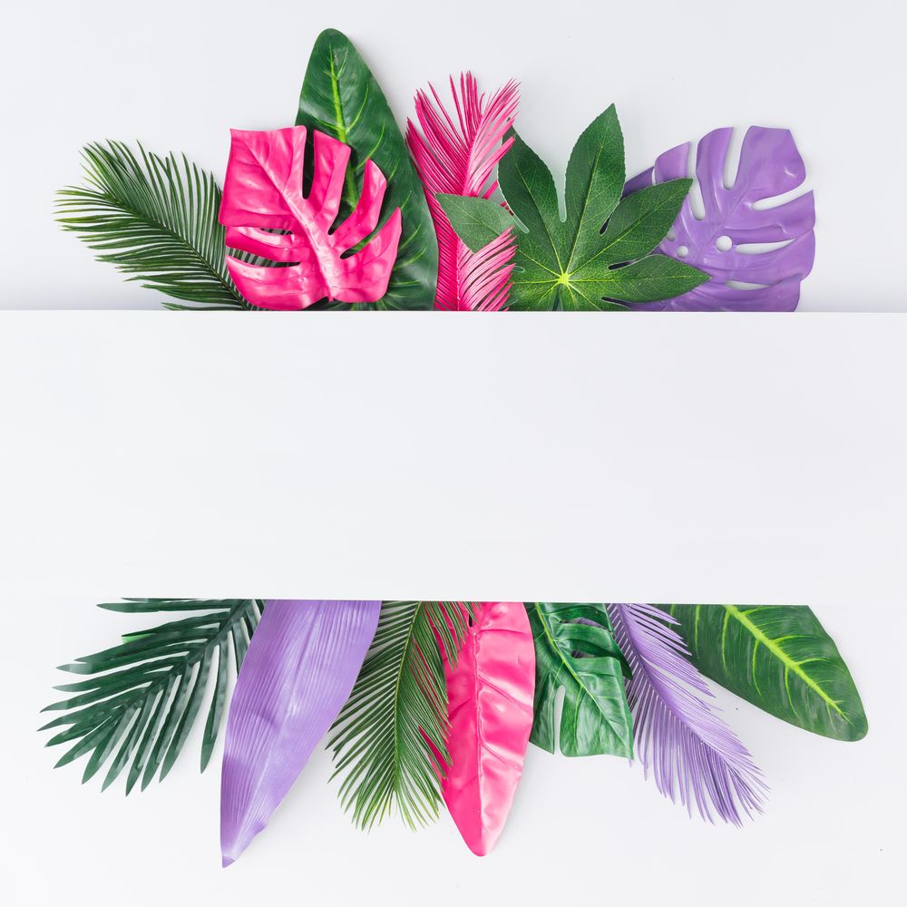 Multicolored tropical leaves on light  background with light  center cut out