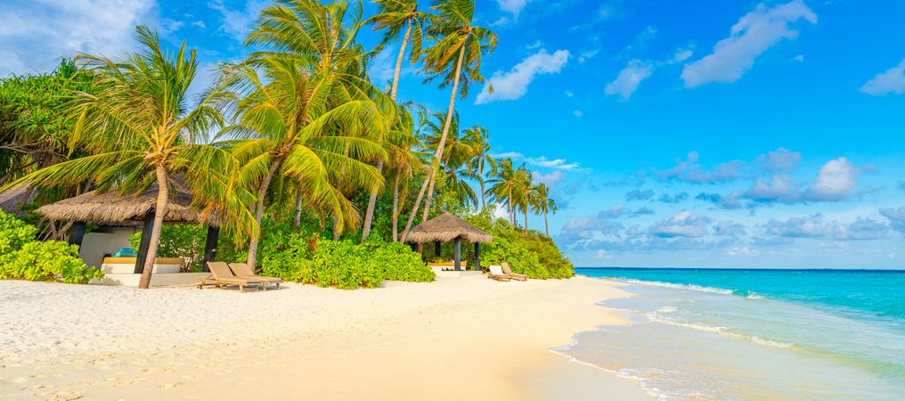 Two thatched huts on the beach with palm trees, wide