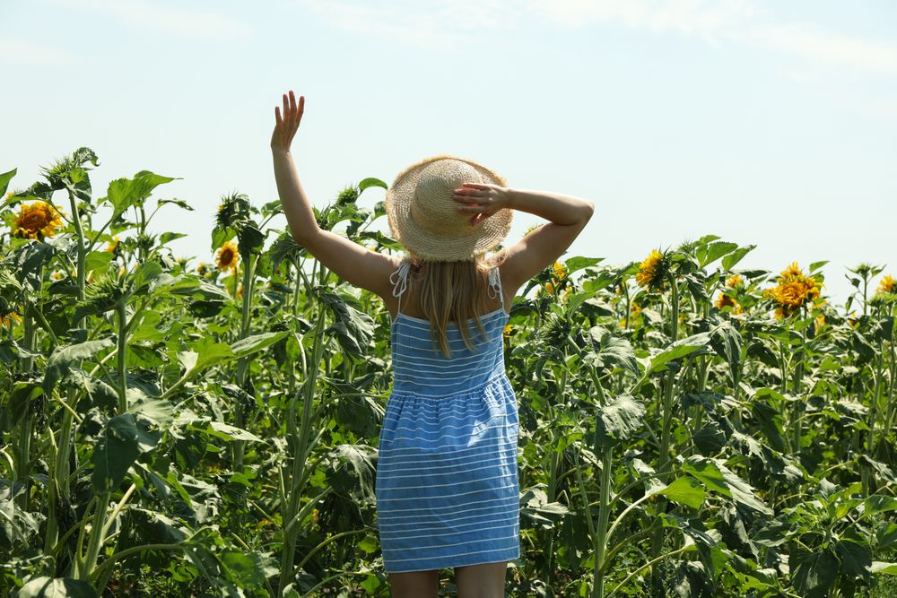 woman in sunflower field. Summer sunny day