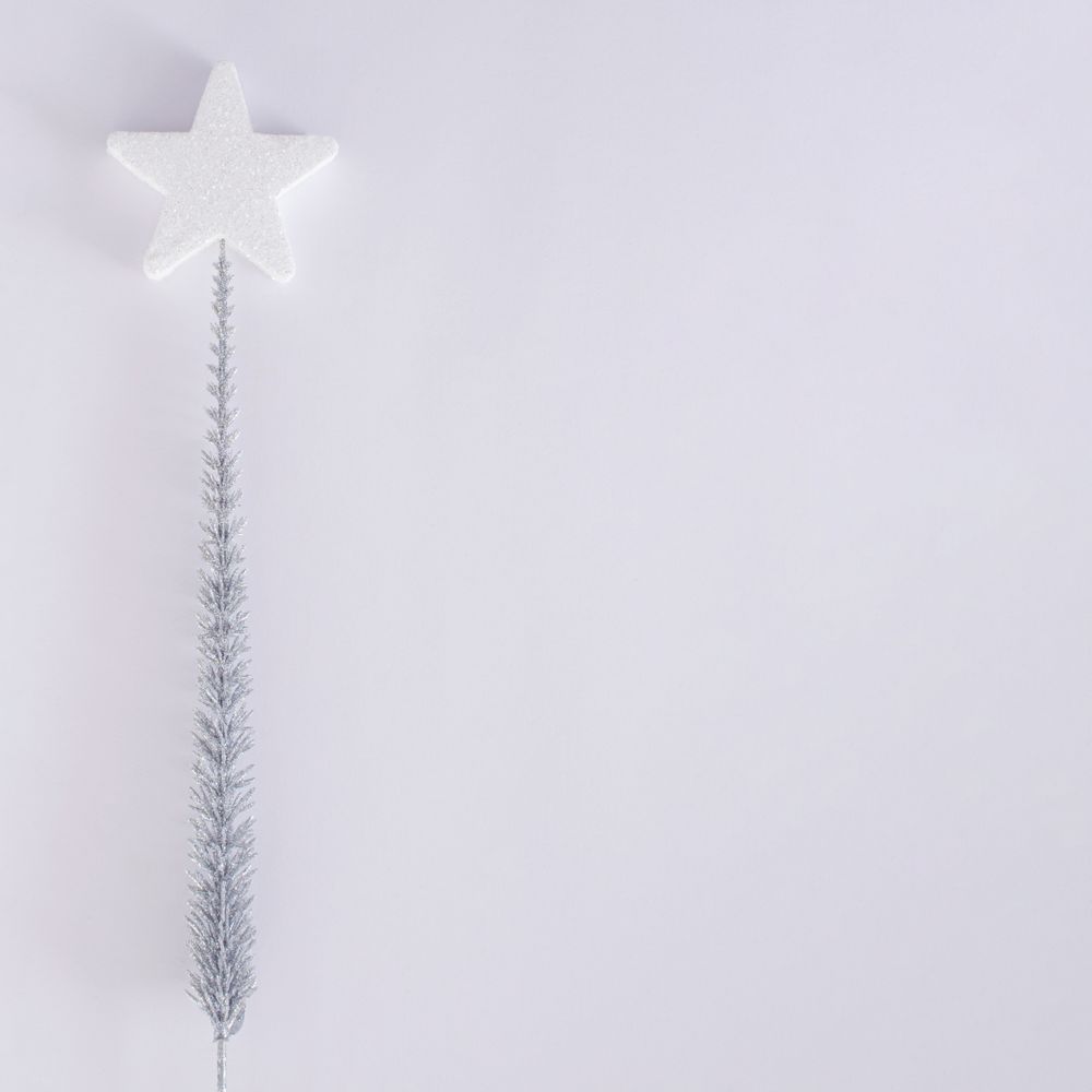 Star on a silver frozen branch