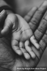 Grayscale photo of baby's hand on an adult's hand 0J2Jl0