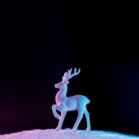 Reindeer on vibrant bold gradient holographic colors on snow