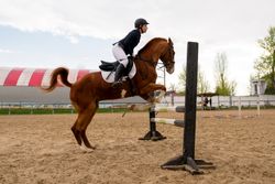Equestrian and horse mid-jump, show jumping action.
