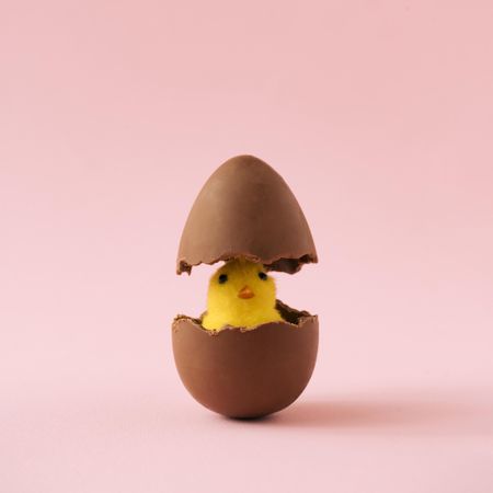 Chick hatching out of chocolate Easter egg on pastel pink background