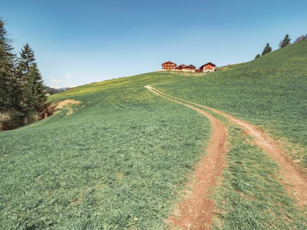 Countryside road running between green field near forest to small village