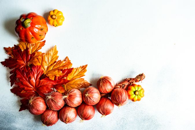 Colorful autumn leaves, braid of onions, and squash decorations with copy space