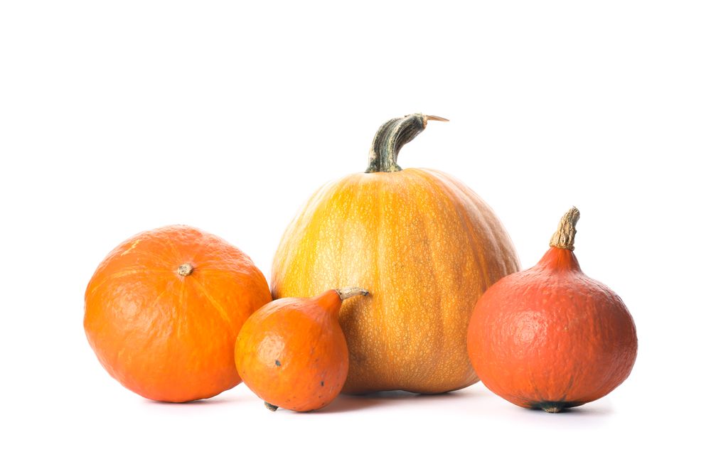 Group of fresh pumpkins isolated on plain background