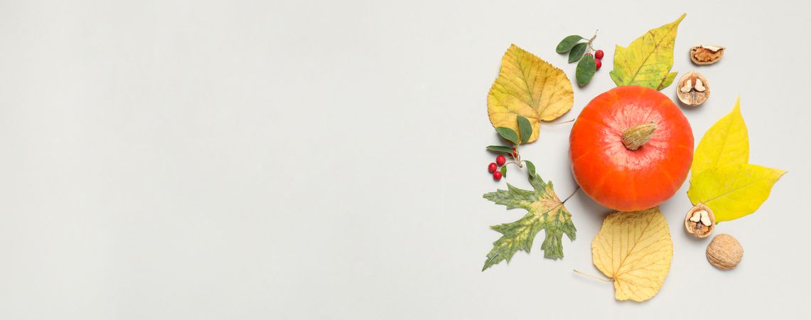 Concept of Autumn vibe food, Pumpkin, Pumpkin seeds, space for text