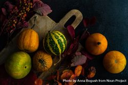 Top view of autumn squash on rustic breadboard and leaves 0LlaA0