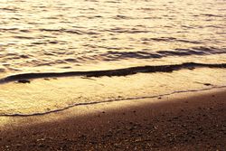 Idyllic seashore with waves in sunset
