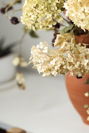 Dried flowers, educational still life for drawing.