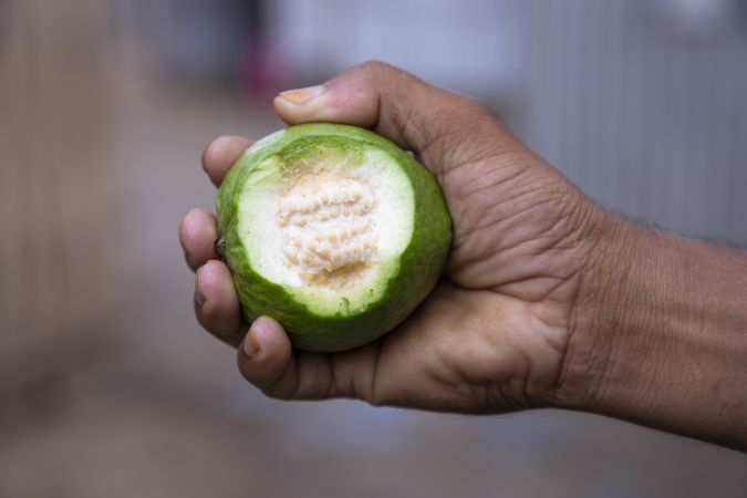 Hand-holding bite  of guava fruit with Shallow depth of field