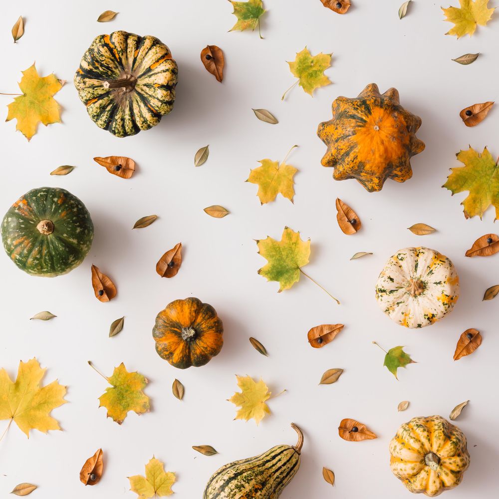 Autumn leaves pattern on light background with squash