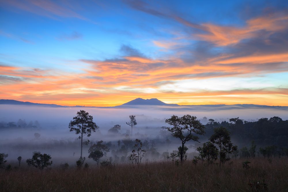 Landscape fog in morning sunrise at Thung Salang Luang National Park Phetchabun,Tung slang luang is Grassland savannah in Thailand