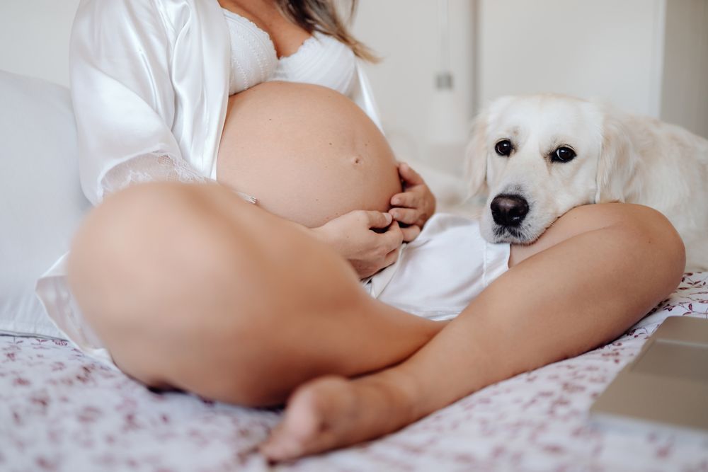 Cheerful pregnant woman using laptop and hugging dog
