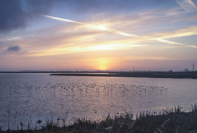 Marsha banks of a body of water at sunset or sunrise